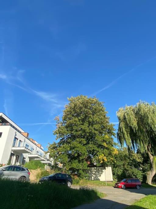 Zentral & Chic - Apartment Harzperle 2 Bad Harzburg Dış mekan fotoğraf